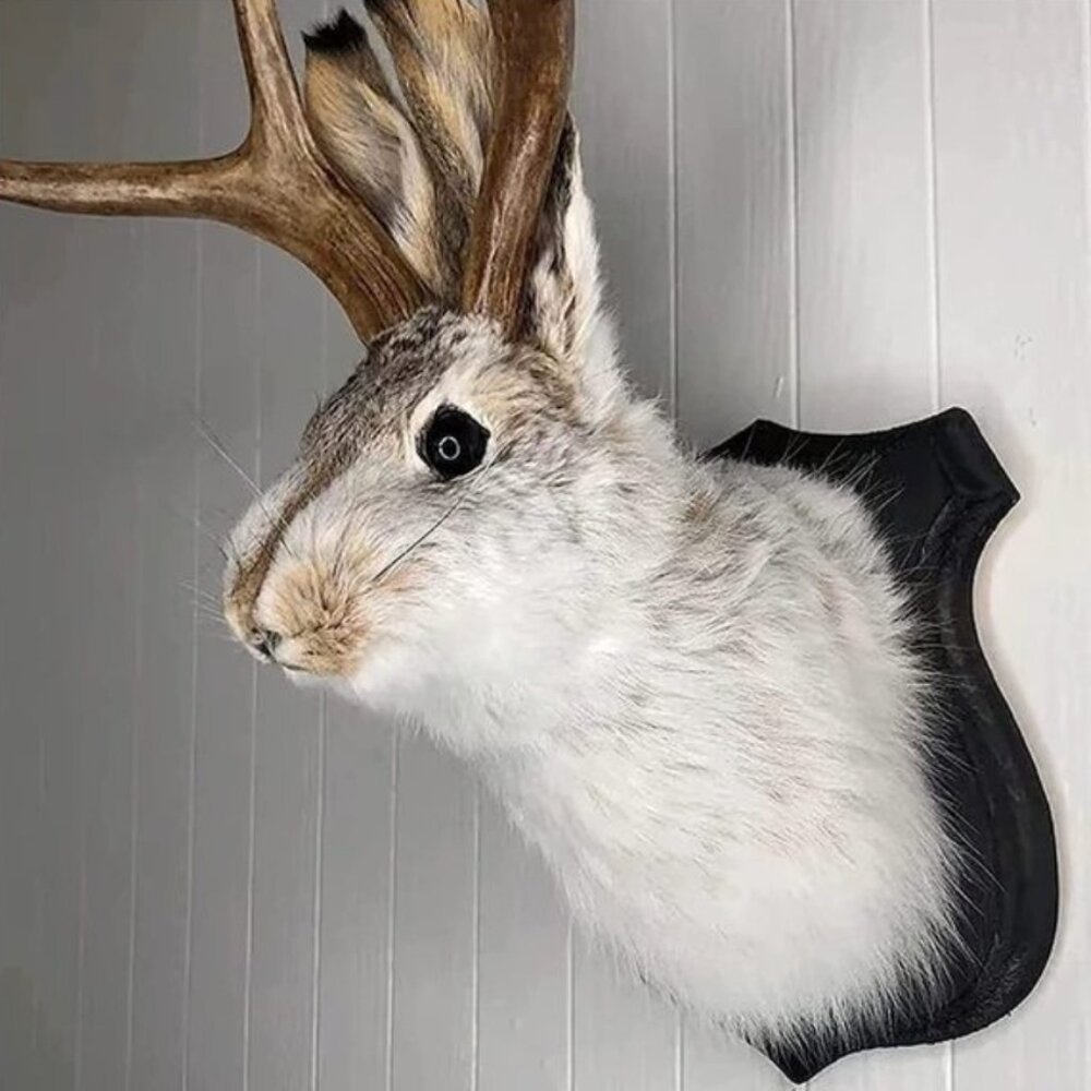 Jackalope Resin Wall Mount – Retro Deer Head Wall Sculpture